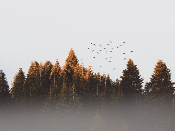 Do you love to spend time outside?