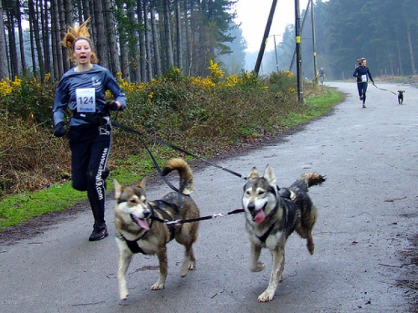 When are you most likely to exercise?