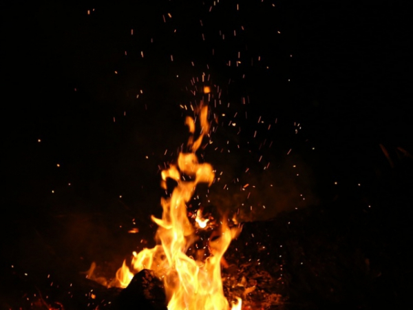 If your house or apartment were on fire, what would you save first?