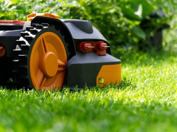 If you could hire someone to help you, would it be with cleaning, cooking, or yard work?