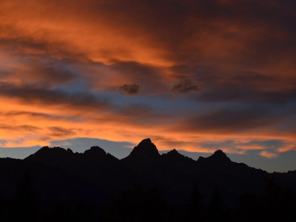 Pick a landscape:
