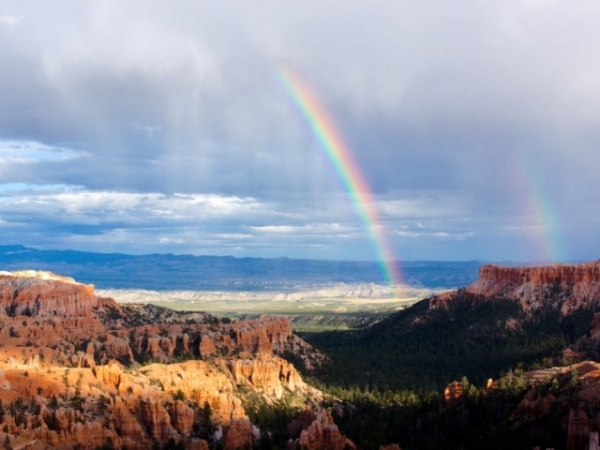 What do you most want to find at the end of the rainbow?