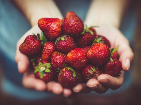 Which fruit is your favorite?