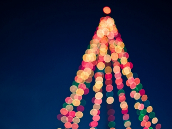Which holiday do you always look forward to?