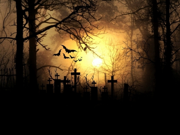 What is your favorite scary Halloween movie?