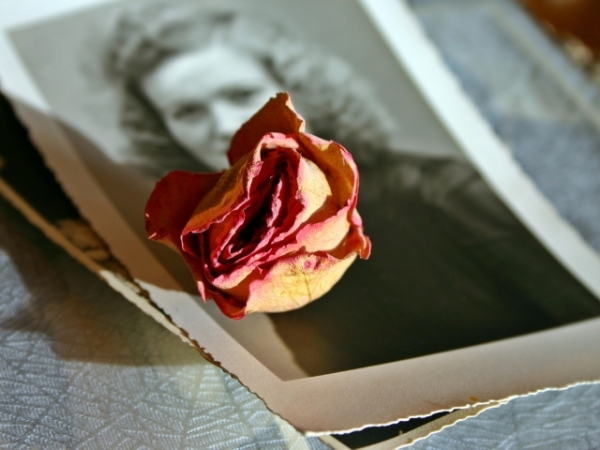 Would you rather lose all of your old memories or not have the ability to make new memories?