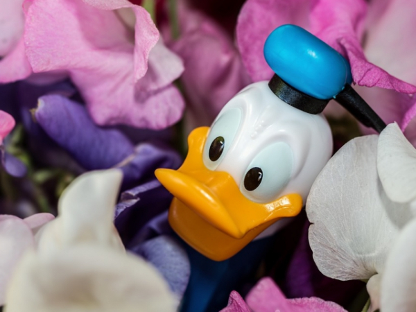 Which Disney character are you the most like?