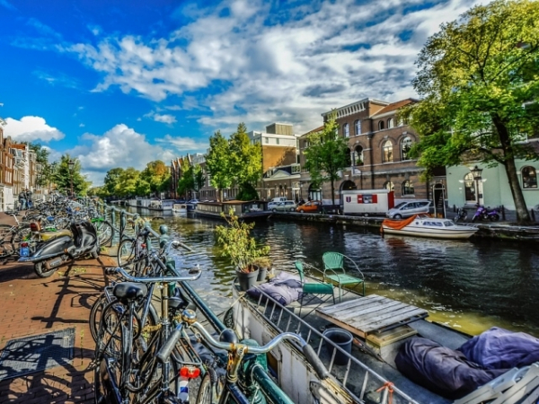 What vibe does your perfect city have?