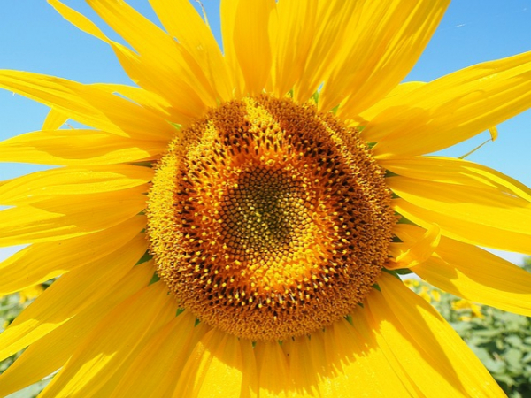 The sun is finally out! What will you do outside?
