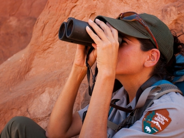 Do you like being engaged in a very fast paced challenging job?