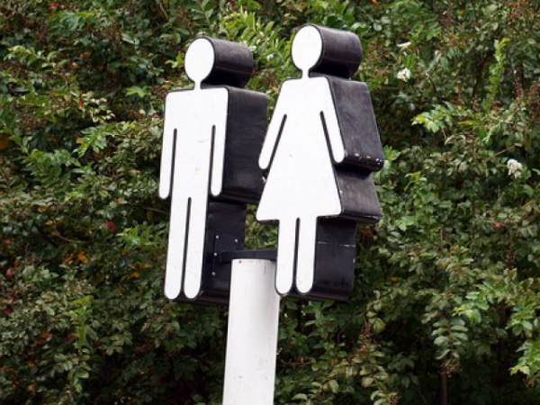 Do you follow the gender roles of your culture?