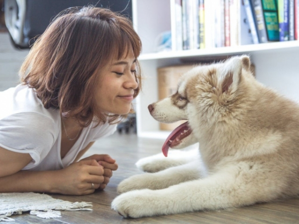 Do you currently have any pets?