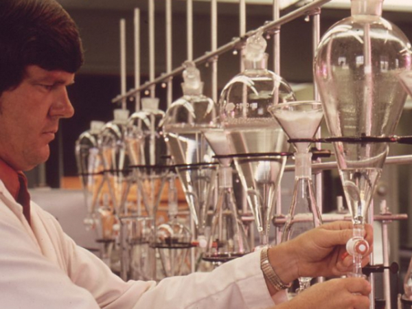 Which career field have you always dreamed of working in?