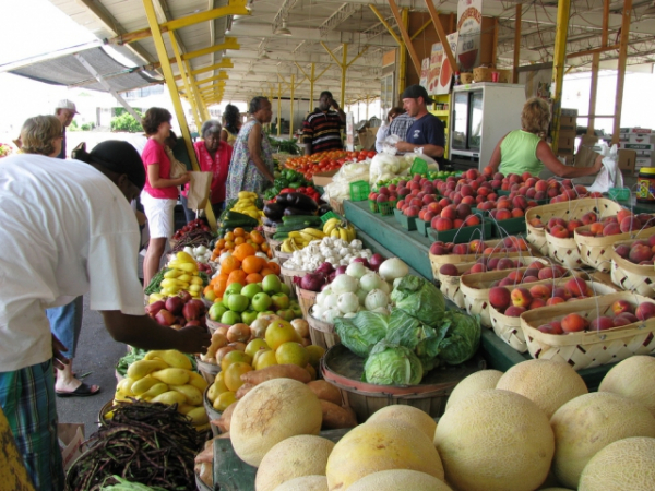 Have you ever been inclined to buy organic/ non-GMO?