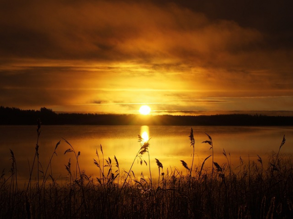 What is your favorite time of day??