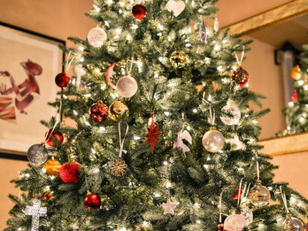 When do you put up your Christmas tree?