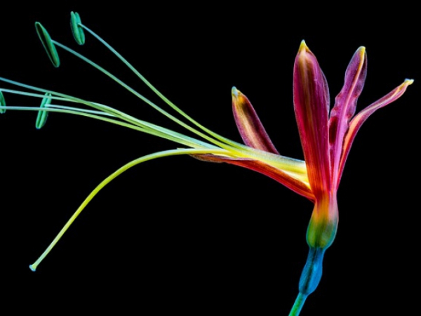What is your favorite color from below?