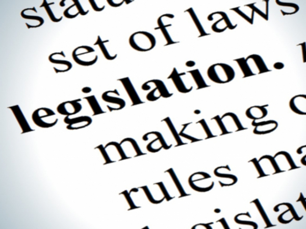 You feel very strongly about a particular piece of government legislation. How do you make your views known?