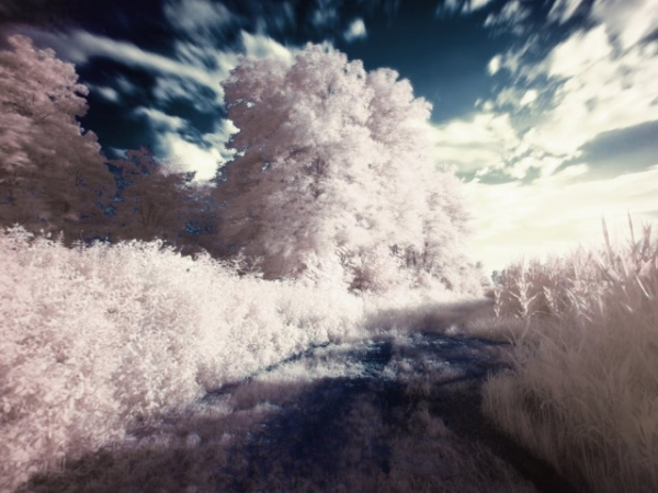 What supernatural abilities have your dreams ever involved?
