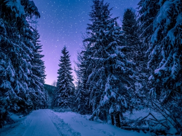 In which season do you feel most alive?