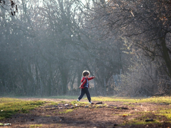 Do you believe that children should be allowed more freedoms with every passing year?