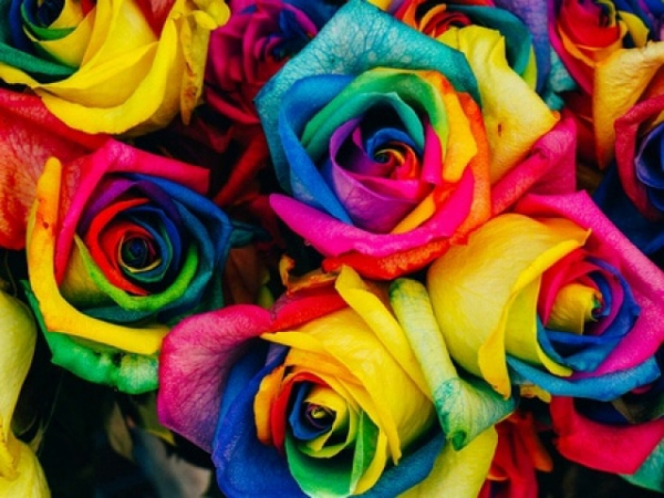Which color do you prefer?