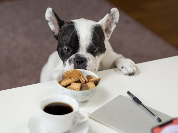 Some people are picky eaters- what about you?