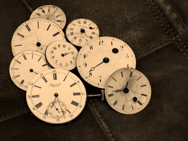 If you could travel back in time, which era would you visit?