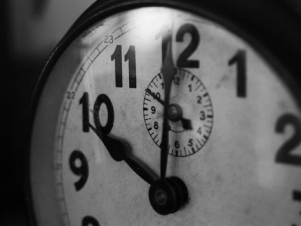 How many hours do you work in an average day?