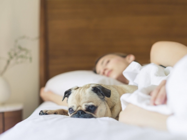 When was the last time you took a nap?