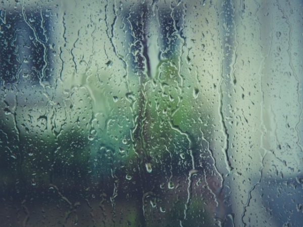 You're stuck inside during a rain storm, how do you pass the time?
