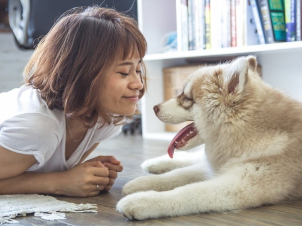 Be honest, do you talk to your dog like it's a person?