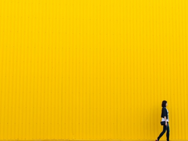 Are you easily able to adapt to any situation or environment?