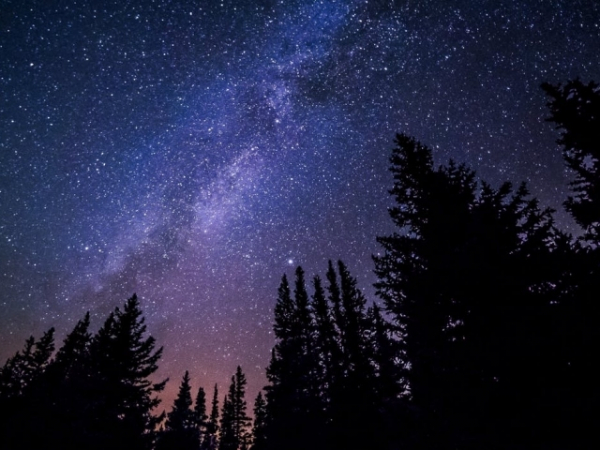 To navigate at night you should locate....