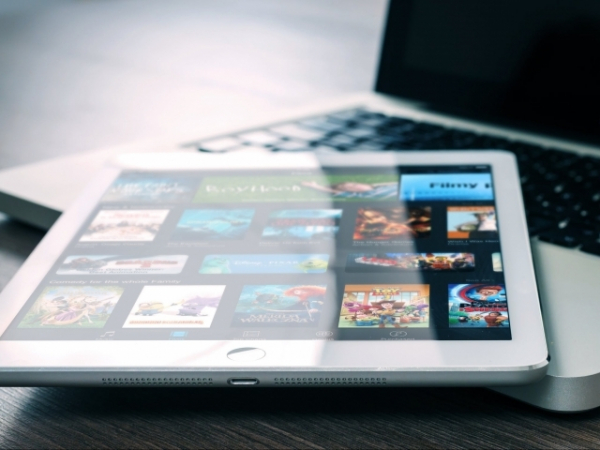 Would you ever give a friend your password to watch Netflix?