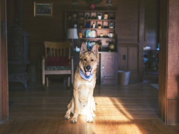 When someone rings your doorbell, what's your first thought?