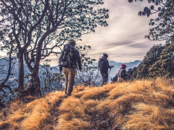 Which outdoor activity sounds appealing to you?