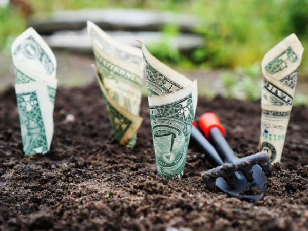 How important is money to you personally?