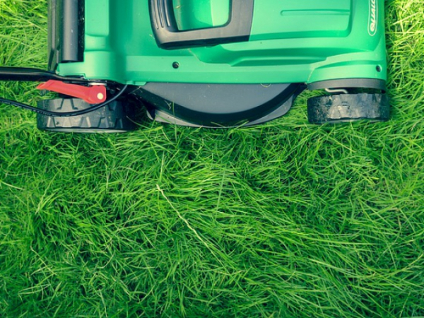 Who mows your lawn?