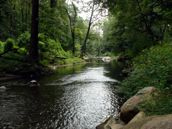 Where's the safest spot to cross the creek?