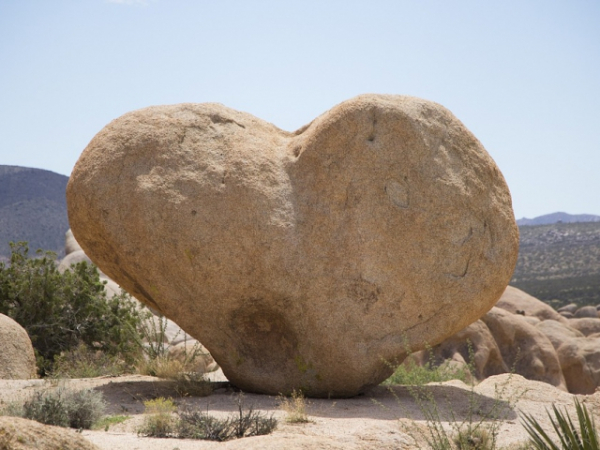 If someone throws a rock at you the correct response is to.....