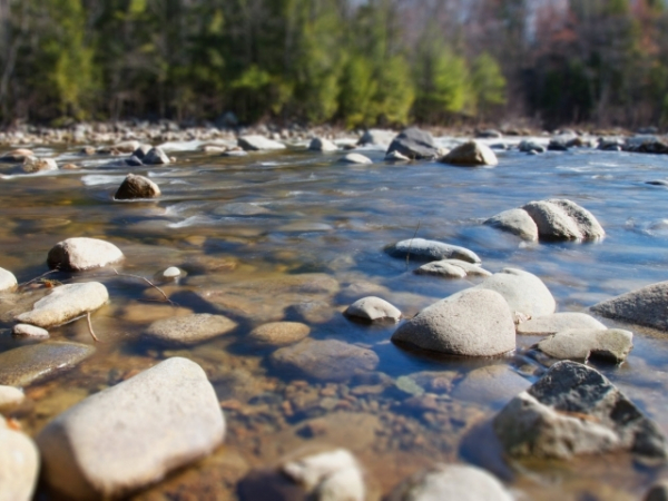 Which body of water best represents you?