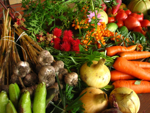 In your opinion, how are vegetables best served?