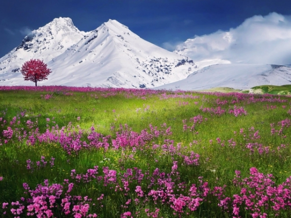 What's your favorite season?