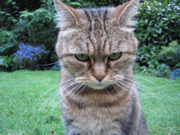 What makes you angry?