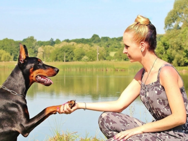 How do you greet an acquaintance?
