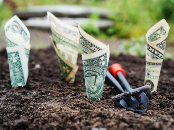 If money was not a constraint, what would you be doing with your time?