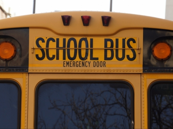 How did you get to school?
