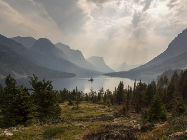 Would you rather live in the wilderness far from civilization or live on the streets of a city as a homeless person?