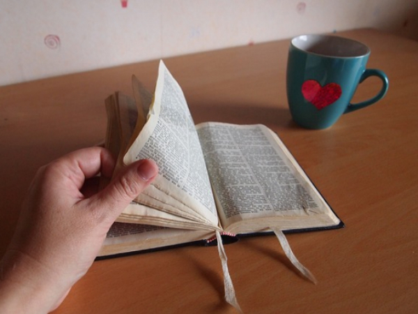 How often do you read your bible?